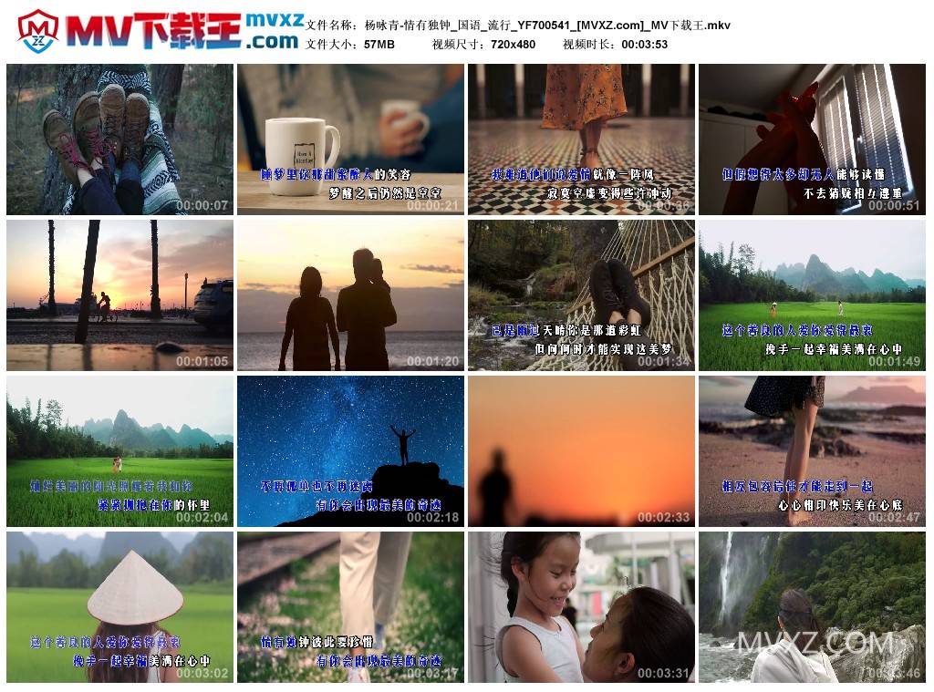 杨咏青-情有独钟_国语_流行_YF700541